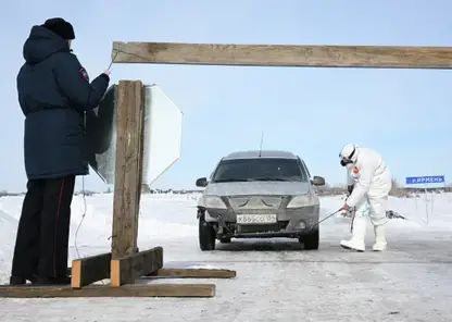 126 семей получили выплаты за изъятый скот при пастереллезе в Новосибирской области