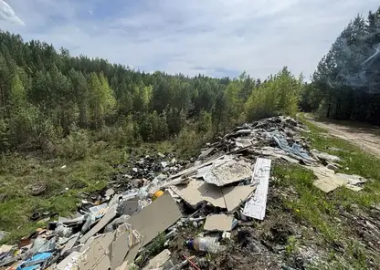 18 свалок уберут в семи территориях Красноярского края до конца года