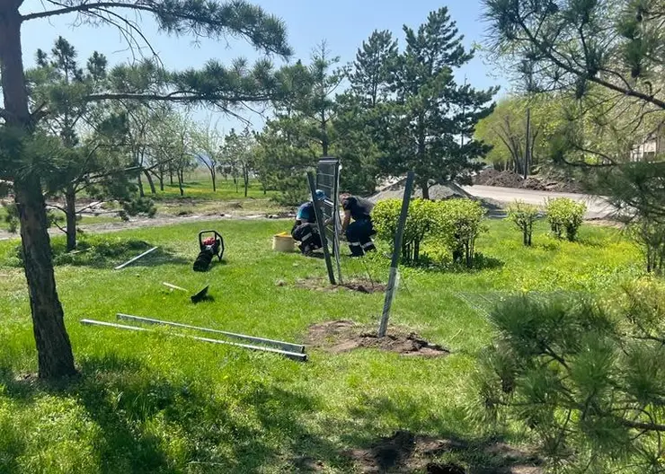 В Красноярске на набережной «Зелёный берег» появится площадка для выгула собак