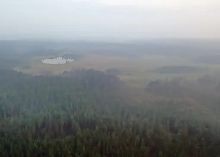Въезд в леса перекроют в Иркутской области по распоряжению губернатора из-за пожарной опасности