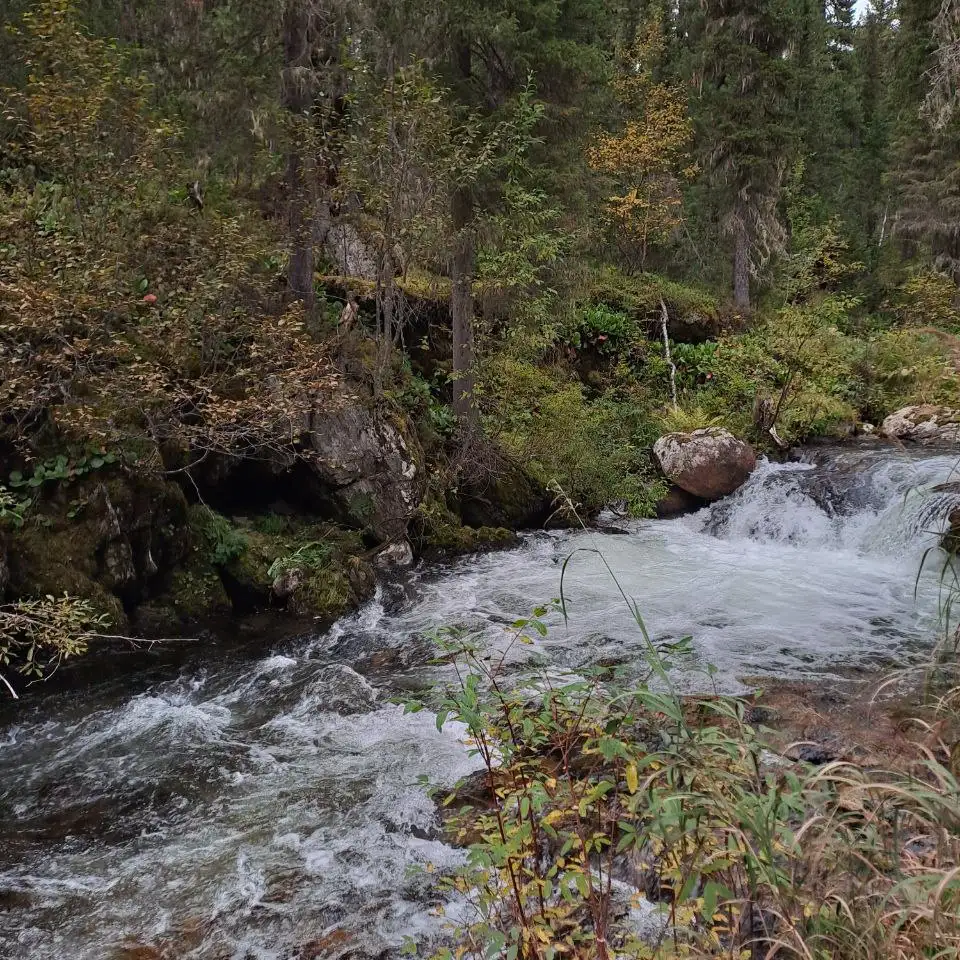 Фото: sibnovosti.ru