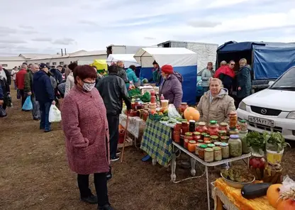 Ярмарка «Золотая осень» и конные скачки пройдут в Чите