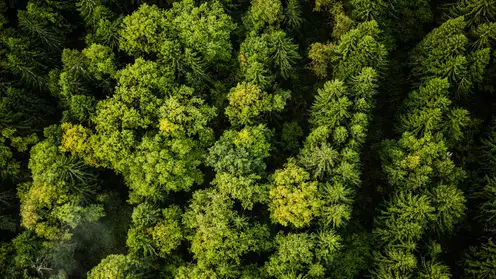 Красноярский край выделит 10 млрд рублей на улучшение экологии