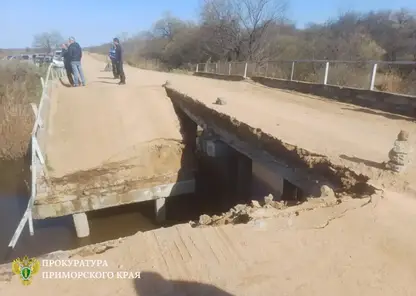 Мост частично обрушился на дороге в Приморском крае