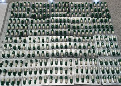 В Хакасии таможенники перехватили крупную партию лирики, прибывшей по почте из Индии