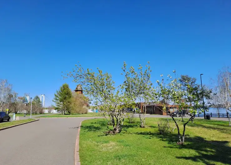 30-градусная жара ждет красноярцев в четверг