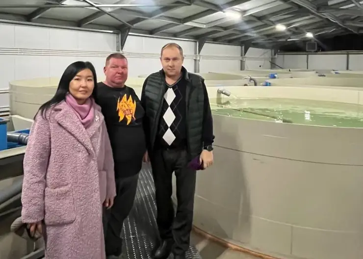 В Чите начали выращивать осетра при поддержке государства