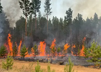 Волонтеров просят присоединиться к тушению пожаров в Забайкалье (видео)