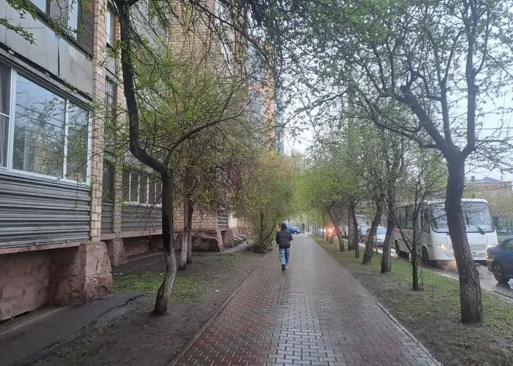 Дождь и +3. Прогноз погоды на вторник в Красноярске