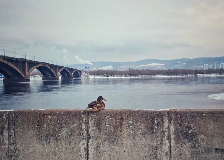 В Красноярске ожидается резкое потепление в субботу