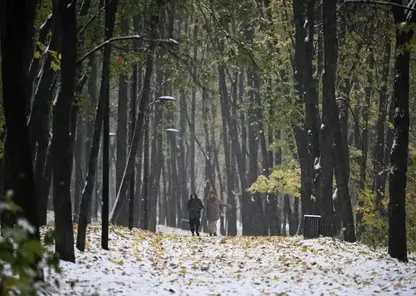 Первый снег заметили в красноярской «Гремячей гриве»