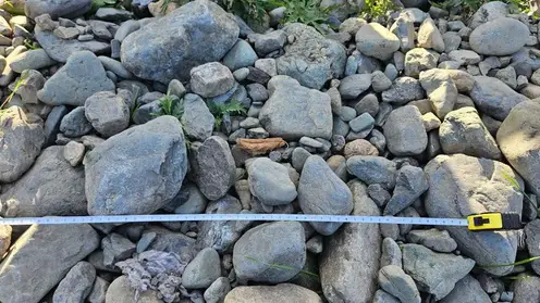 Руководителя дорожной компании в Красноярском крае заподозрили в мошенничестве из-за булыжников на сельских улицах