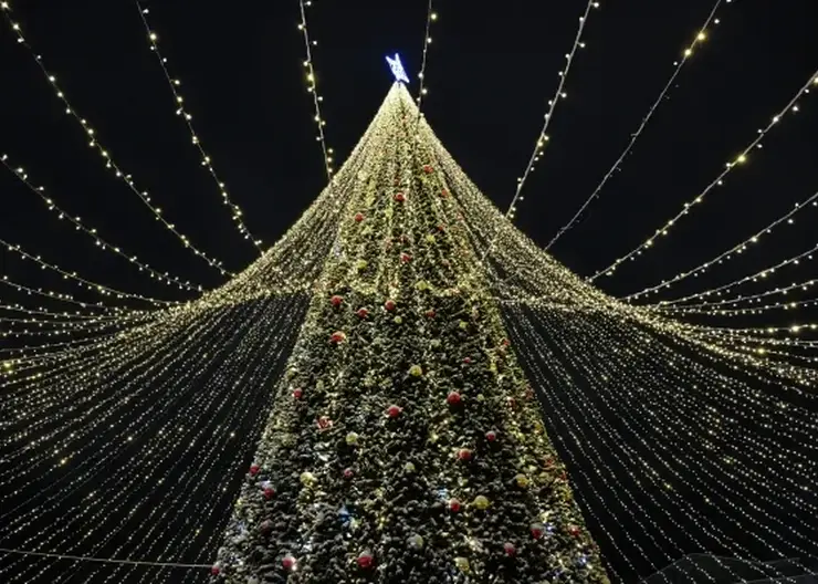 Новогодние праздники в 2026 году могут продлить до 11 января