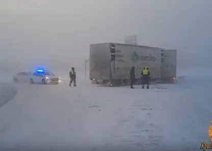 Полицейские спасли из снежного плена фуру с коровами, застрявшую на трассе в Красноярском крае