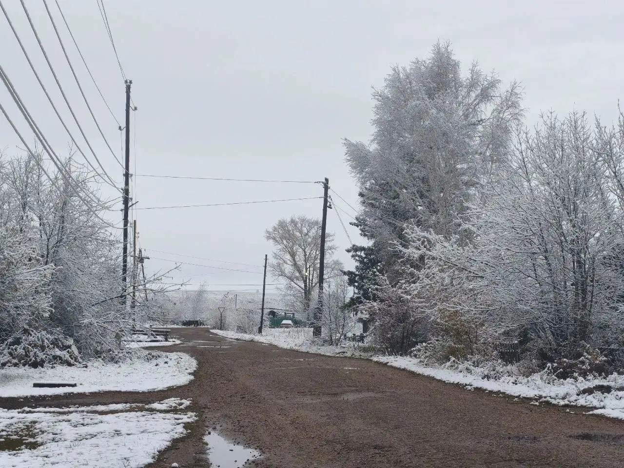 Фото: Telegram-канал «Красноярск. Бабр. Дальше некуда»