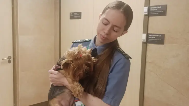 11 животных улетели из Красноярска за границу в июле