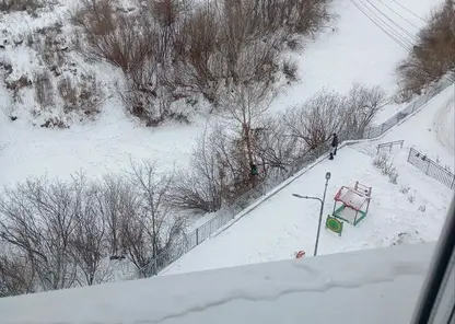 Жители Солонцов под Красноярском рассказали о нападении стаи собак на детей
