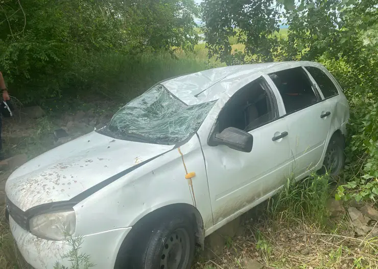 Пенсионер слетел в кювет и погиб под Минусинском