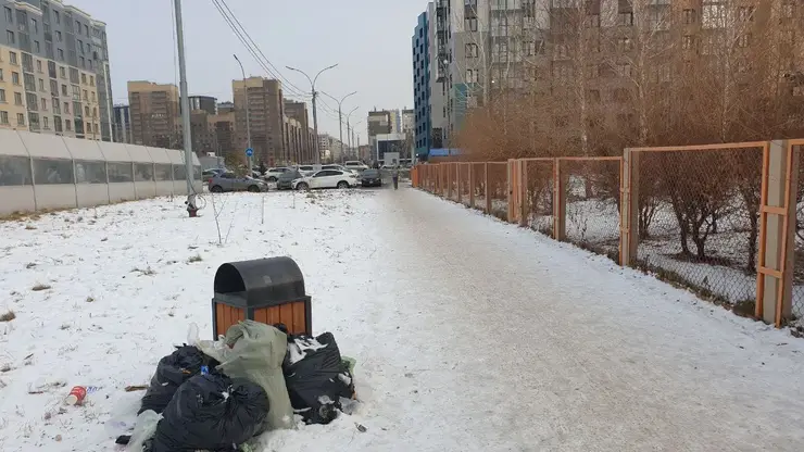 В Красноярске жители Преображенского попросили администрацию избавить их от крыс