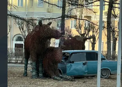 В Красноярске водитель «Жигулей» въехал в фигуру лося на Красрабе