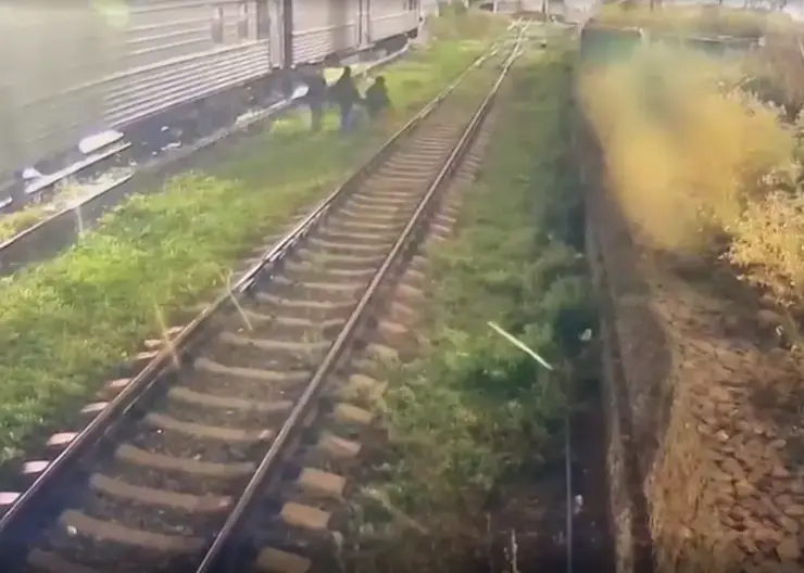 Приезжие из Москвы и регионов разрисовали электрички в Новосибирской области