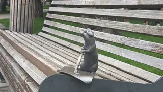 Красноярцы заметили, что из сквера Сурикова пропал бронзовый суслик Красноярцы заметили, что из сквера Сурикова пропал бронзовый суслик