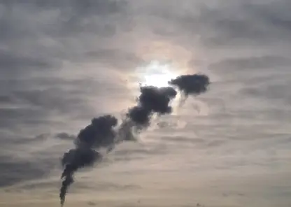 В свинокомплексе Шуваевском опровергли информацию о загрязнении воздуха вредными веществами