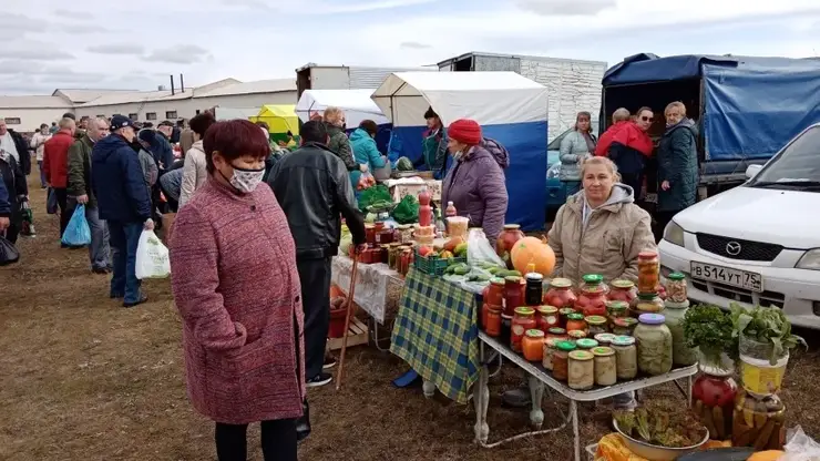 Ярмарка «Золотая осень» и конные скачки пройдут в Чите