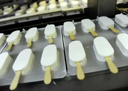 Омская область нацелена на производство палочек для мороженого и клея ПВА