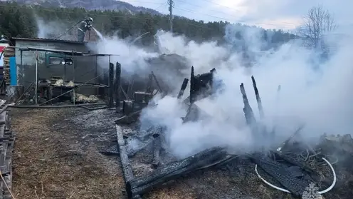 Девять пожаров потушили в Красноярском крае за минувшие сутки
