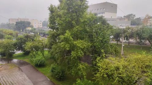 Шквалистый ветер и сильный ливень будут бушевать в Красноярске 19 августа