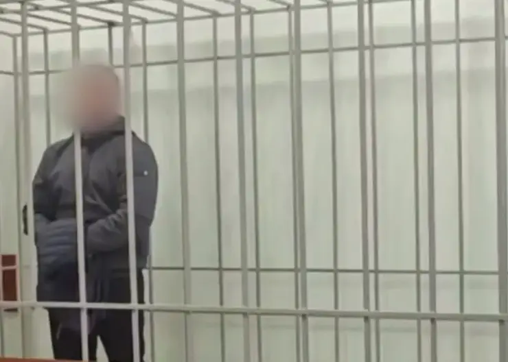 Красноярца отправили в СИЗО за стрельбу из ружья по окнам многоквартирного дома в Покровке