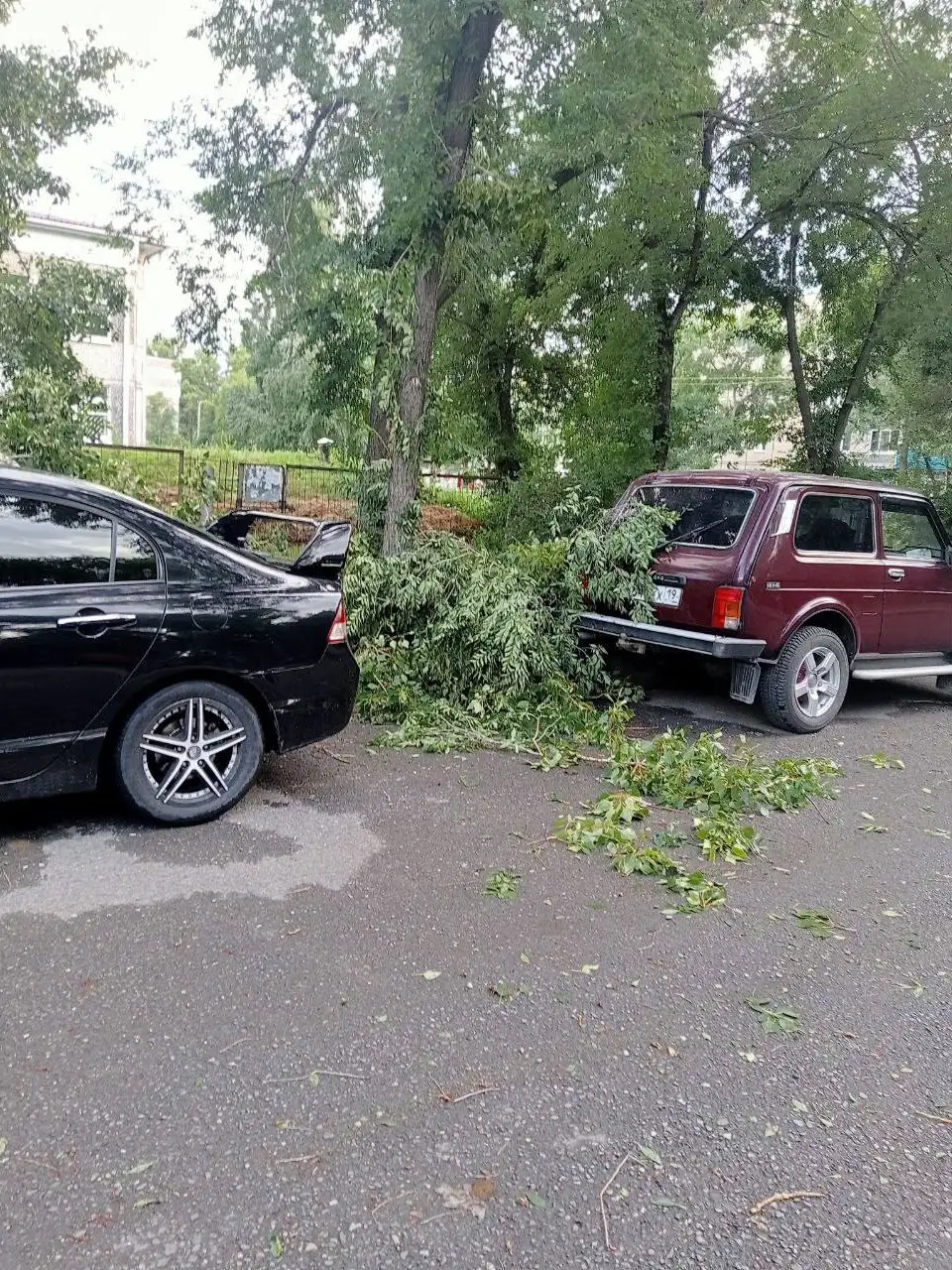 Фото: Telegram-канал «Саяногорск Главный»