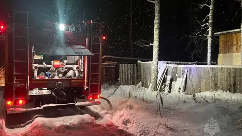За сутки при пожарах в Красноярском крае погибли два человека