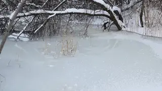 Жителей Красноярского края предупредили о возможных подтоплениях на выходных