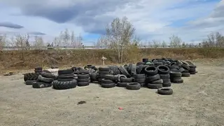 В районе Берёзовки под Красноярском обнаружили огромную свалку автомобильных шин