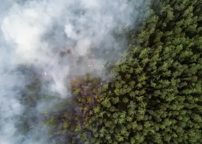 Первые лесные пожары из-за сухих гроз зафиксированы в Бурятии