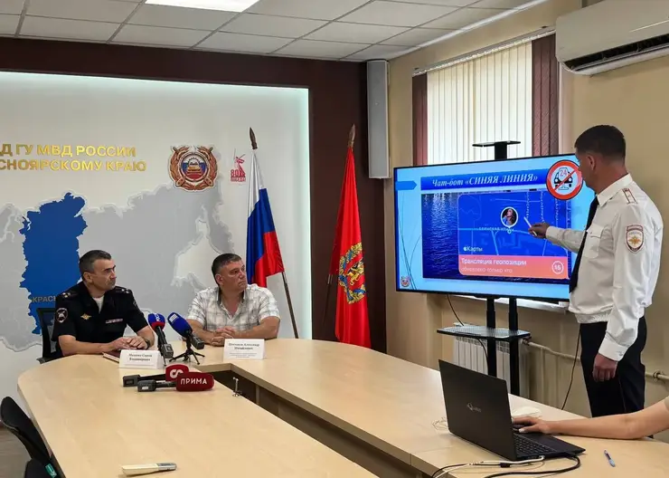 В Красноярске запустили чат-бот для сообщений о нетрезвых водителях