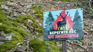 Противопожарная информационная компания «Останови огонь!» пройдет в российских регионах