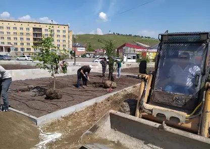 В сквере Цветочный квартал растения будут поливать с помощью уникальной системы капельного полива