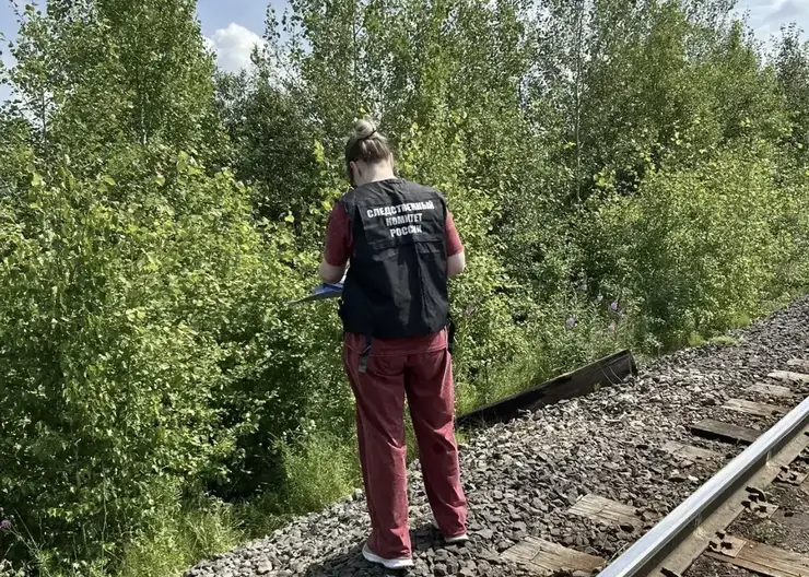 Пятилетнюю девочку, пропавшую с матерью в Красноярском крае, нашли мёртвой