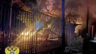 Мошенники атакуют неравнодушных после пожара в Новосибирском зоопарке: как безопасно помочь животным Мошенники атакуют неравнодушных после пожара в Новосибирском зоопарке: как безопасно помочь животным