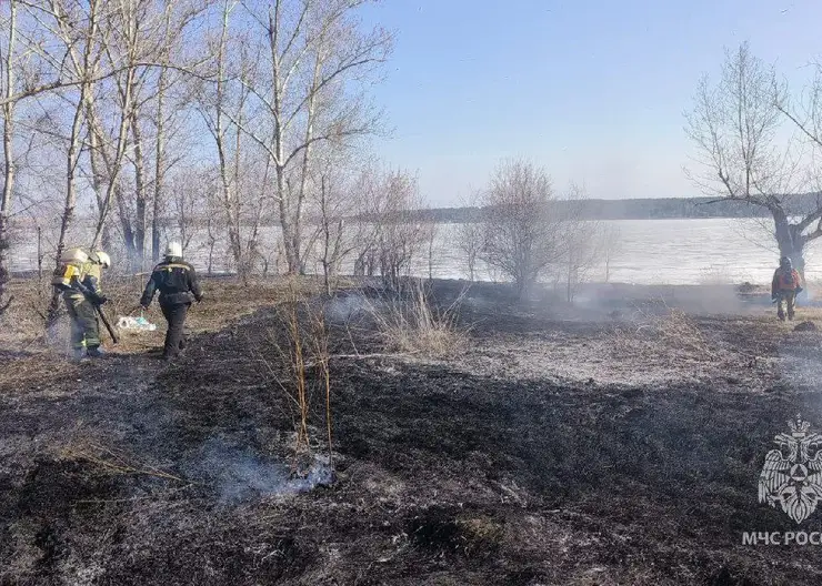 Красноярцев предупредили о штрафах за сжигание сухой травы и мусора