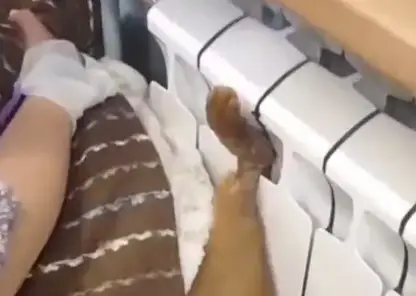 Новосибирские спасатели вызволили кота, застрявшего в батарее