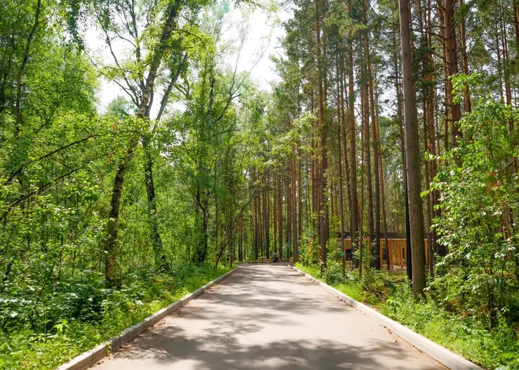 В Красноярске модернизируют эко-парк «Гремячая грива»