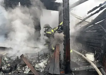 Мужчина погиб при пожаре в бане в Емельяновском округе