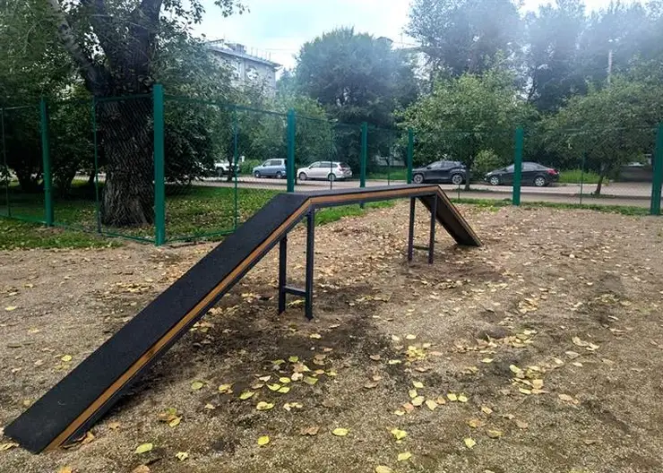 Четыре обустроенные площадки для выгула собак появятся в 2026 году в Советском районе Красноярска