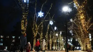 Мэрия Новосибирска назвала концепцию и стиль празднования Нового 2026 года в городе