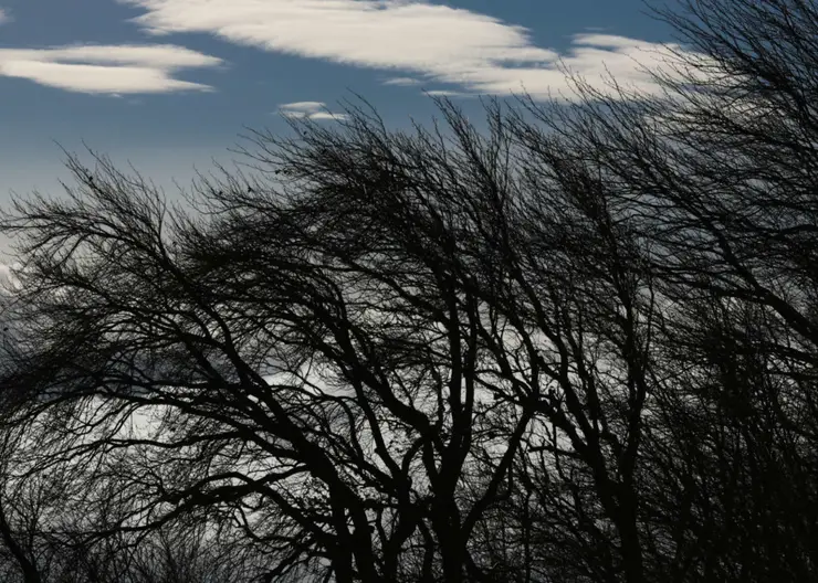 1 июля в Красноярском крае ожидаются ливни, грозы и сильный ветер