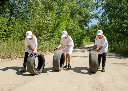 Юные волонтеры Красноярскэнергосбыта приняли участие в экологической акции «оБЕРЕГАй»